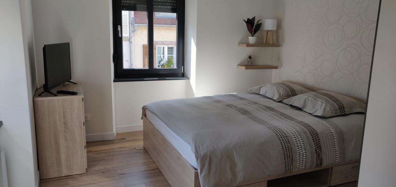 Le Cygne, Appartement De Standing En Hyper-Centre ساريجومين المظهر الخارجي الصورة