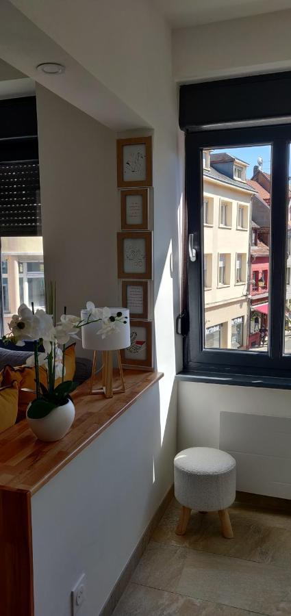 Le Cygne, Appartement De Standing En Hyper-Centre ساريجومين المظهر الخارجي الصورة