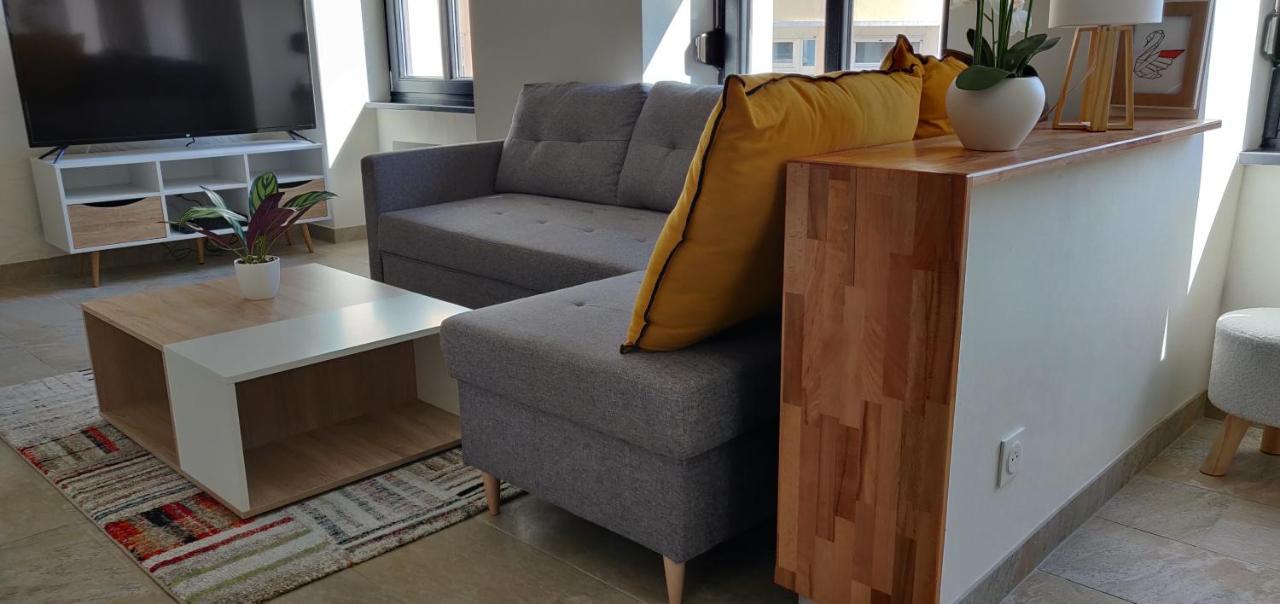 Le Cygne, Appartement De Standing En Hyper-Centre ساريجومين المظهر الخارجي الصورة